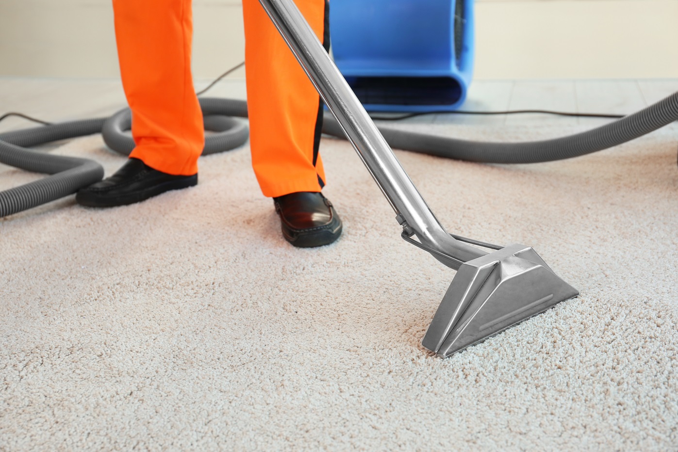 Nettoyage professionnel de tapis beige par jordan harkat à Montauban avec machine d’extraction
